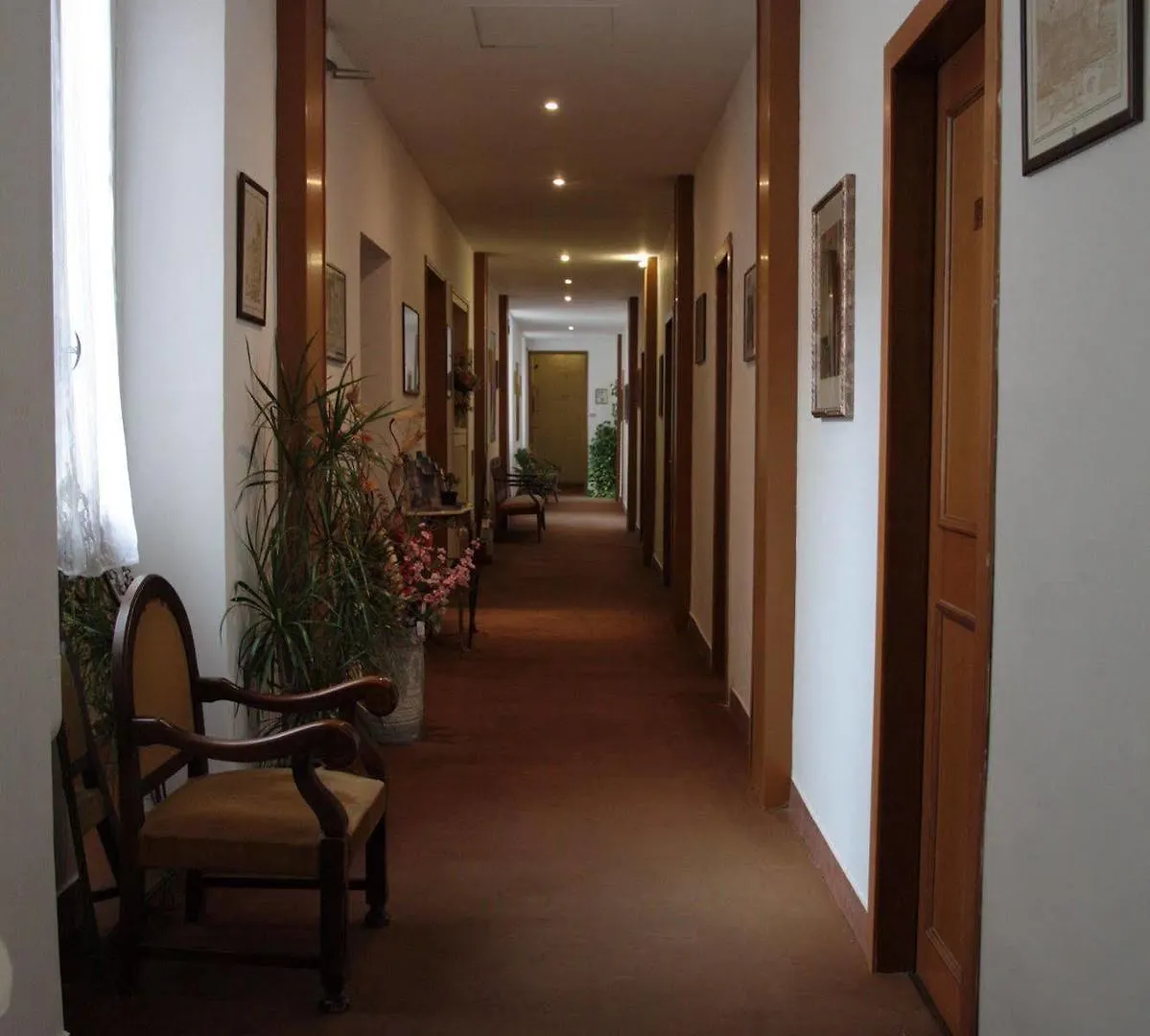 Hotel Genzianella Firenze